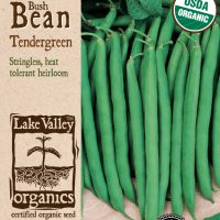Bean (Bush) Tendergreen