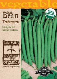 Bean (Bush) Tendergreen