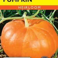 Pumpkin Cinderella - Item #350