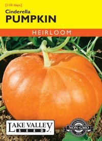 Pumpkin Cinderella - Item #350
