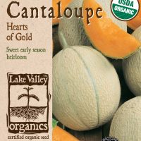 Cantaloupe Hearts Of Gold