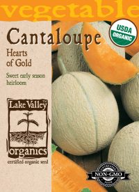 Cantaloupe Hearts Of Gold
