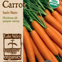 Carrot Scarlet Nantes