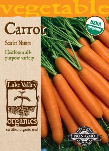 Carrot Scarlet Nantes – Item #3501