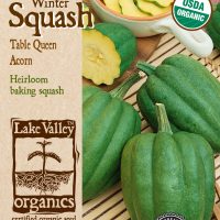 Squash (Winter) Table Queen Acorn