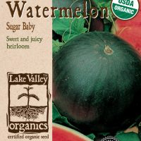 Watermelon Sugar Baby