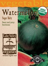 Watermelon Sugar Baby