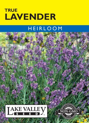 Lavender True - Item #3510