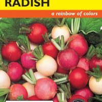 Radish Easter Egg Blend