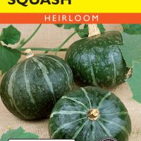 Squash (Winter) Burgess Buttercup