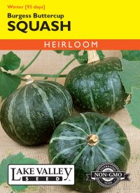 Squash (Winter) Burgess Buttercup