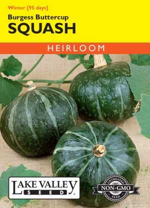 Squash (Winter) Burgess Buttercup