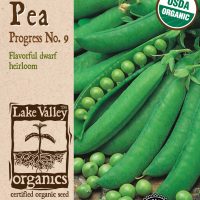 Pea Progress NO. 9