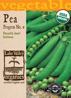 Pea Progress NO. 9