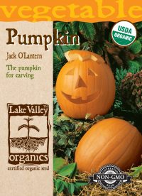 Pumpkin Jack O'Lantern