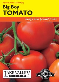 Tomato (Pole) Big Boy