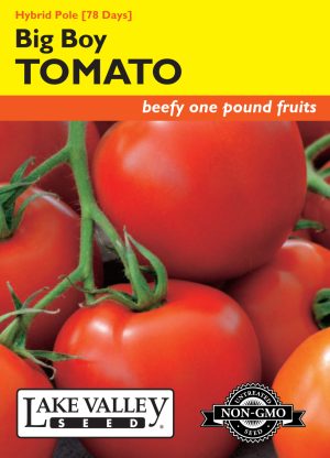 Tomato (Pole) Big Boy