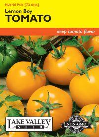 Tomato (Pole) Lemon Boy