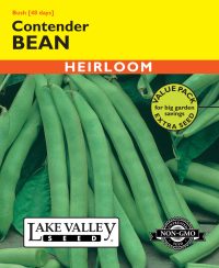 Bean (Bush) Contender