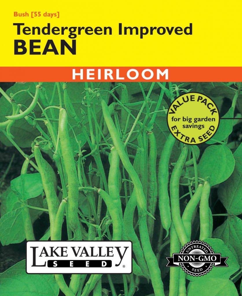 Bean (Bush) Tendergreen Improved Item 367 Lake Valley Seed