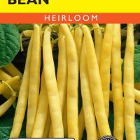 Bean (Bush) Pencil Pod Yellow Wax
