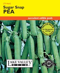 Pea Sugar Snap (Pole)