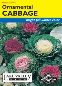 Cabbage Ornamental Mixed Colors