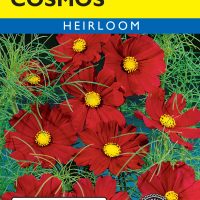 Cosmos Dazzler - Item #373