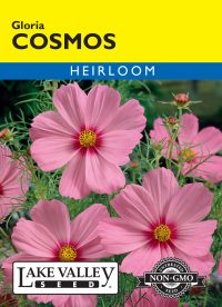 Cosmos Gloria - Item #374