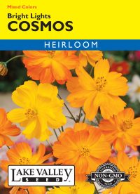 Cosmos Bright Lights