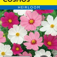 Cosmos Sonata Mixed Colors