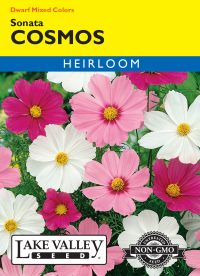 Cosmos Sonata Mixed Colors