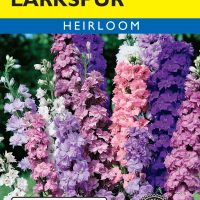 Larkspur Imperial Giant