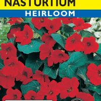 Nasturtium Empress of India