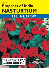 Nasturtium Empress of India