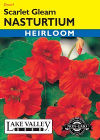 Nasturtium Scarlet Gleam