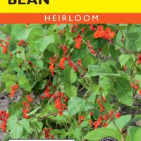 Bean (Pole) Scarlet Emperor