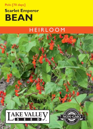 Bean (Pole) Scarlet Emperor