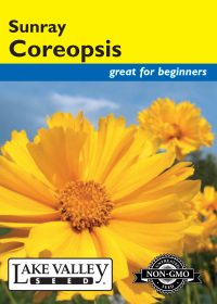 Coreopsis Sunray - Item #3916