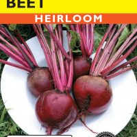Beet Ruby Queen