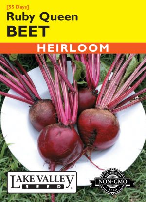 Beet Ruby Queen