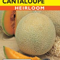 Cantaloupe Imperial 45