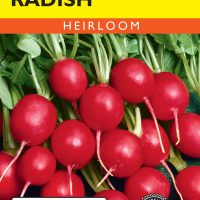 Radish Early Scarlet Globe