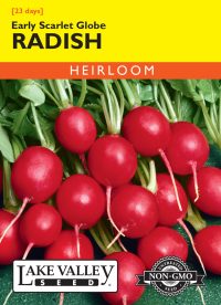 Radish Early Scarlet Globe