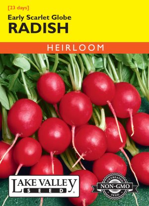 Radish Early Scarlet Globe