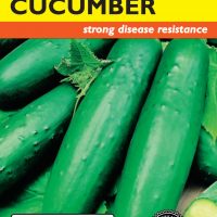Cucumber Poinsett 76