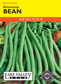 Bean (Bush) Greencrop