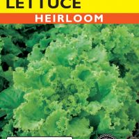 Lettuce Grand Rapids