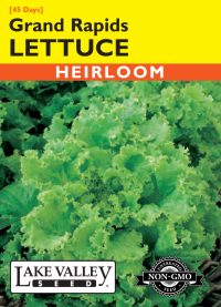 Lettuce Grand Rapids