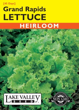 Lettuce Grand Rapids